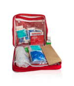 Motor Vehicle Regulation Kit - Red Nylon Bag - Image 2