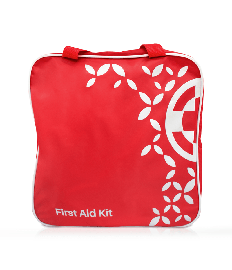 FAK5029 Motor Vehicle Regulation Kit - Red Nylon Bag - Image 1