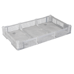 PI-EB-536 Export Berry Tray - Virgin