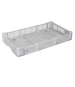 PI-EB-536 Export Berry Tray - Virgin
